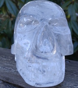 Edgar-AncestorCrystalHealingSkull